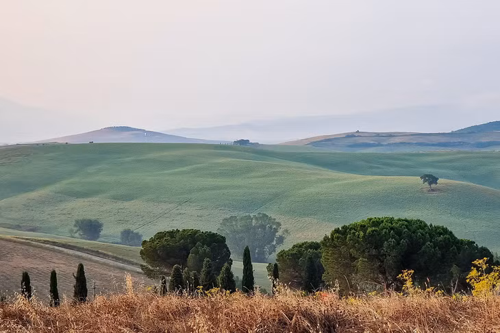 Tuscany còn nổi tiếng với những vườn nho đẹp và cũng là vùng sản xuất rượu vang lâu đời ở Ý. Ảnh: Nguyễn Tất Thịnh