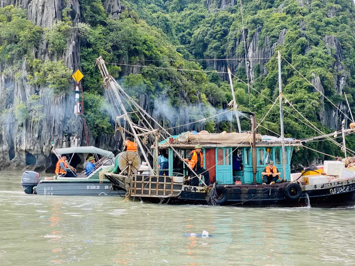 Lực lượng chức năng TP Hạ Long tuần tra, xử lý các chủ phương tiện, thuyền viên cố ý vi phạm các quy định về neo đậu, gây ảnh hưởng đến trật tự ATGT đường thuỷ, gây mất mỹ quan, vệ sinh môi trường khu vực ven bờ Vịnh Hạ Long.