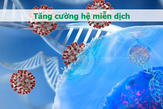 Bổ sung sắt và kẽm từ sụn gà có thể hỗ trợ hệ miễn dịch và giúp cơ thể chống lại các bệnh nhiễm trùng (Đồ họa: Minh Nhật).