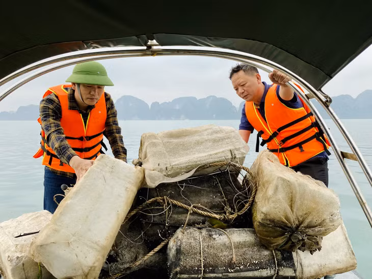 Ban Quản lý Vịnh Hạ Long tổ chức thu gom, vận chuyển phao xốp, rác trôi nổi trên mặt Vịnh Hạ Long về bờ. (Ảnh chụp tháng 4/2023)