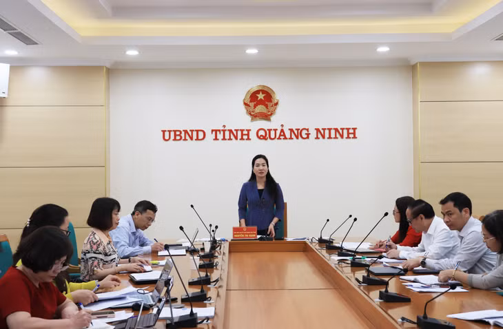 Đồng chí Nguyễn Thị Hạnh, Phó Chủ tịch UBND tỉnh phát biểu tại cuộc họp.