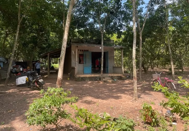 Căn nhà đối tượng đột nhập thực hiện hành vi hiếp dâm, cướp tài sản - Ảnh: T.T