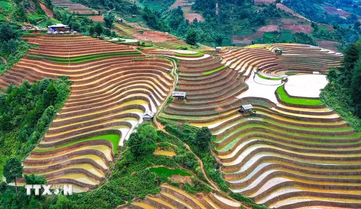 Để tạo nên những thửa ruộng bậc thang thích hợp cho gieo trồng, người dân phải chọn những vùng đất không có đá trên triền đồi, sườn núi có diện tích khá rộng, độ dốc vừa phải và vị trí thuận lợi để đón nước mưa, nước suối. (Ảnh: Tuấn Anh/TTXVN)
