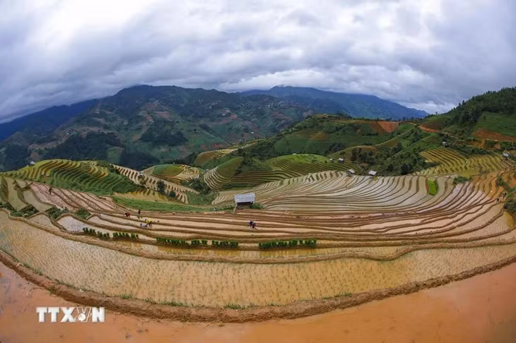 Mùa nước đổ thường bắt đầu từ đầu tháng 5 đến đầu tháng 6. Khi những cơn mưa rào mùa hạ đổ xuống, bà con người Mông bắt đầu dẫn nước từ trên núi cao đổ vào các thửa ruộng. (Ảnh: Tuấn Anh/TTXVN)