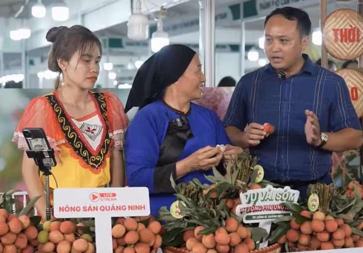 Anh Bùi Văn Trà (TP Uông Bí) tham gia livestream giới thiệu sản phẩm vải chín sớm Phương Nam.
