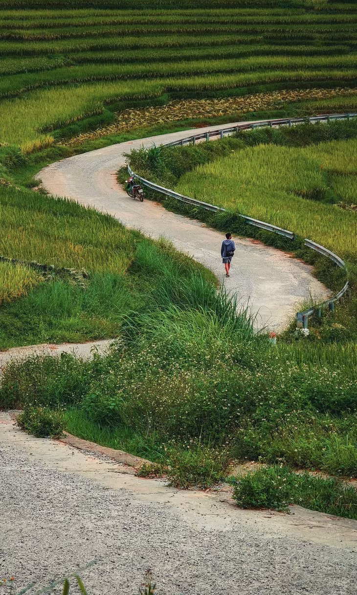 Pù Luông vào mùa lúa chín ảnh 3