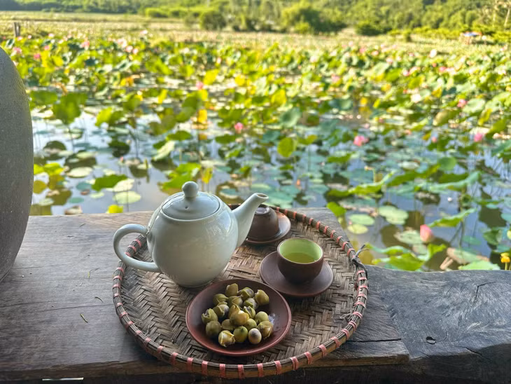Cánh đồng sen của chú Hạnh (Hạnh sen Trà Lý) cách con đập chỉ 1 km. Cả nhóm cùng nhau thưởng thức trà tim sen do chú ủ từ đêm tới sáng, nhâm nhi sen hấp và có thể mua trà tim sen đem về.