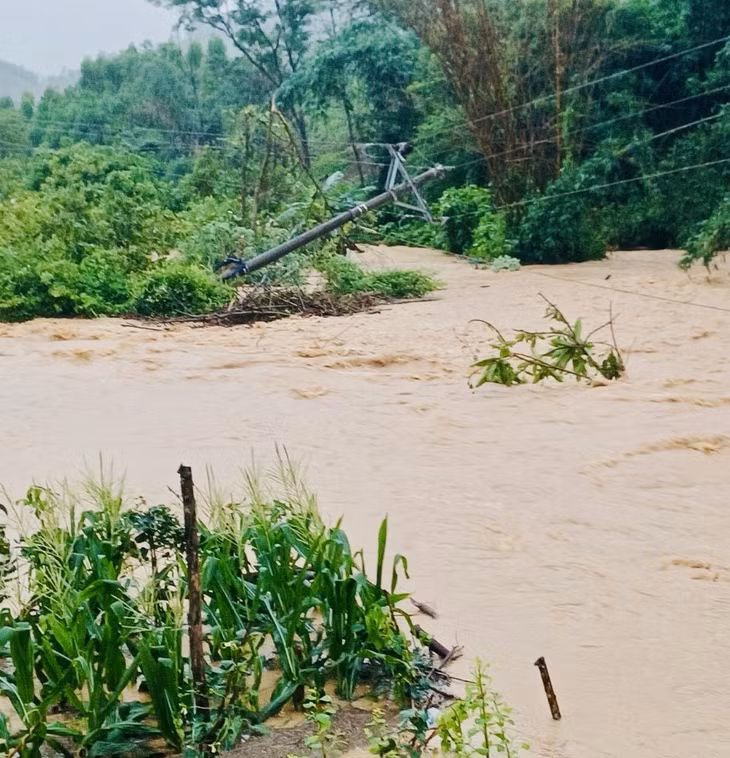 Mưa lớn làm đổ 1 cột điện dân sinh tại thôn Đồng Trà, xã Đồng Lâm (TP Hạ Long) gây mất điện cục bộ.
