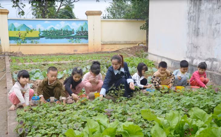 Hoạt động trải nghiệm của các bé Trường Mầm non Đồng Rui (huyện Tiên Yên).