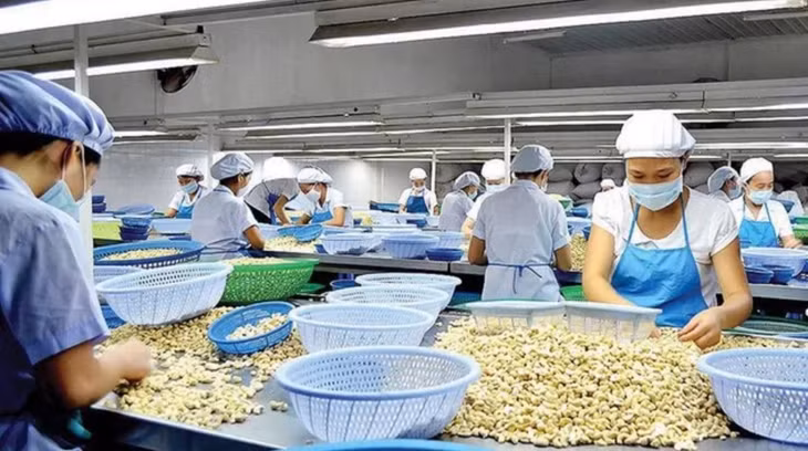 Giá điều thô nguyên liệu bất ngờ tăng đột biến cũng khiến doanh nghiệp trở tay không kịp