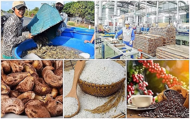 5 tháng đầu năm 2024, Việt Nam xuất khẩu nông lâm thủy sản sang thị trường Trung Quốc ước đạt 4,6 tỷ USD