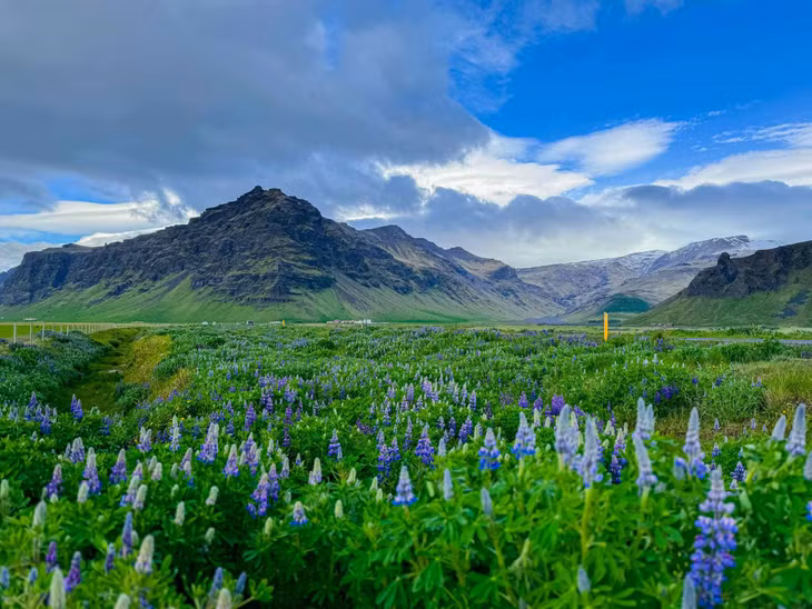 Theo anh Kevin Phan, Iceland tuy lạnh nhưng cũng tràn đầy sức sống vào cuối Xuân đầu Hè, mỗi nơi, mỗi thời điểm lại mang một vẻ đẹp khác nhau. Ảnh: Kevin Phan