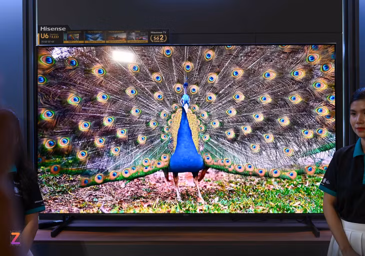 tv hisense anh 3