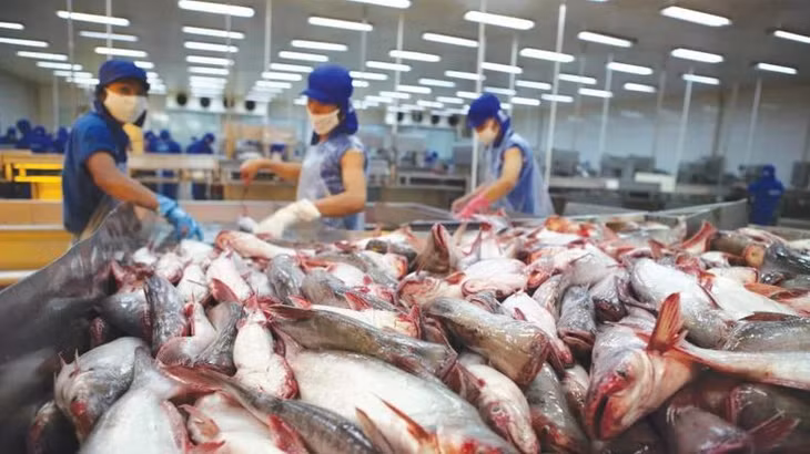 Dự báo xuất khẩu thủy sản sẽ tăng vào cuối năm.