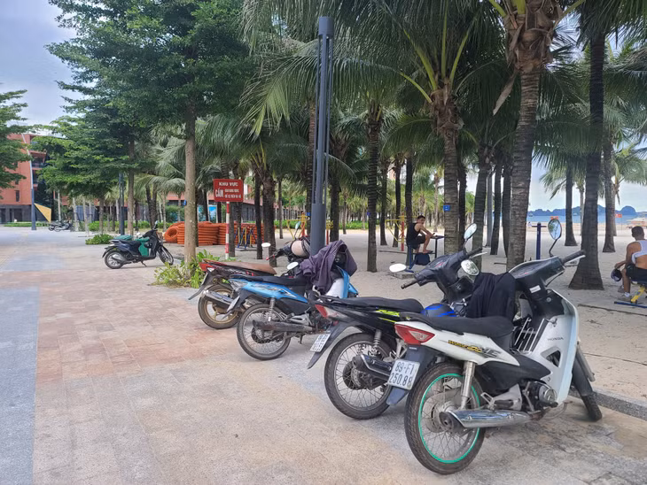 Dù có biển báo, nhưng các phương tiện của người dân, du khách đỗ trên vỉa hè đường ven biển khu vực bãi tắm Bãi Cháy.