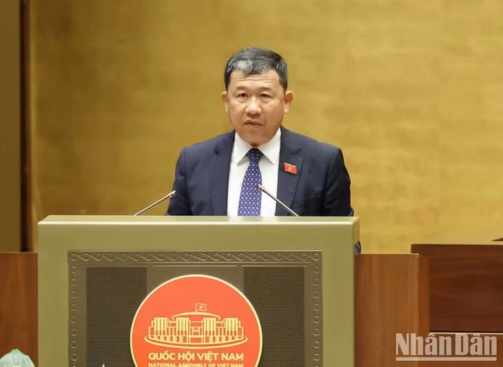 Chủ nhiệm Ủy ban Đối ngoại của Quốc hội Vũ Hải Hà báo cáo thẩm tra tờ trình. (Ảnh: DUY LINH)