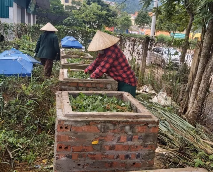 Hội viên phụ nữ xã Đạp Thanh (huyện Ba Chẽ) thực hiện mô hình "Ủ phân hữu cơ". Ảnh: Cơ sở cung cấp