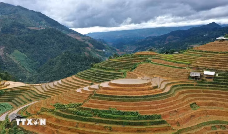 Ruộng bậc thang là sự kết hợp hoàn hảo giữa vẻ hùng vĩ của núi rừng cùng vẻ đẹp của lao động sáng tạo, trải qua bao đời thế hệ. (Ảnh: Tuấn Anh/TTXVN)