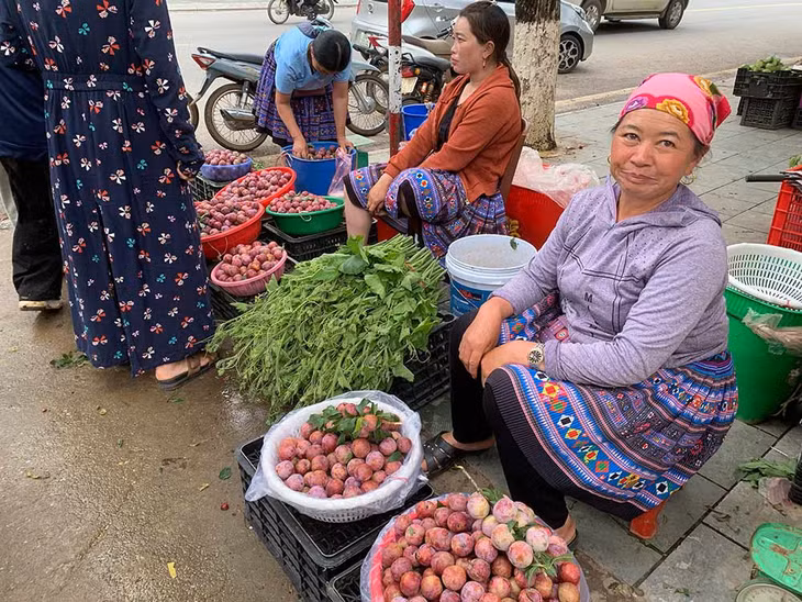 Người H'Mông đi hàng chục cây số cõng mận lên thị trấn bán. Ảnh: Hà An