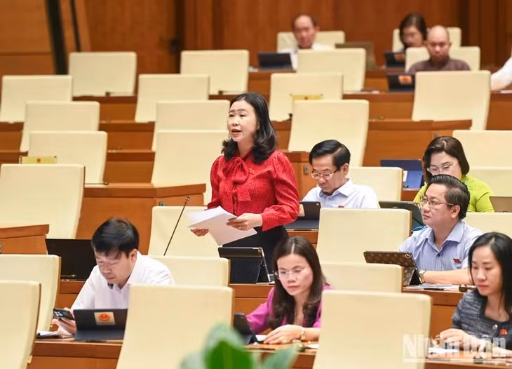 Đại biểu Lê Thị Song An - Phó Trưởng đoàn chuyên trách Đoàn đại biểu Quốc hội tỉnh Long An. (Ảnh: DUY LINH)