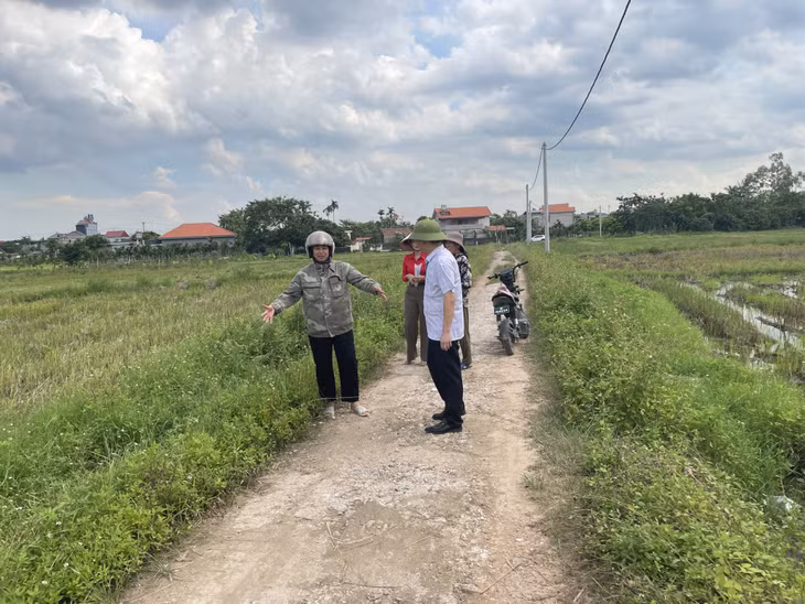 Tuyến mương đất tại khu Bí Trung 2 hiện cỏ mọc um tùm