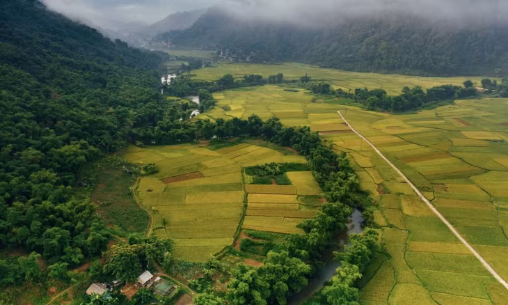 Pù Luông vào mùa lúa chín ảnh 10