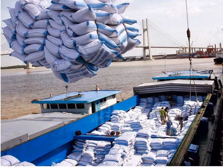 5 tháng, giá gạo xuất khẩu tăng 20,5% ảnh 1