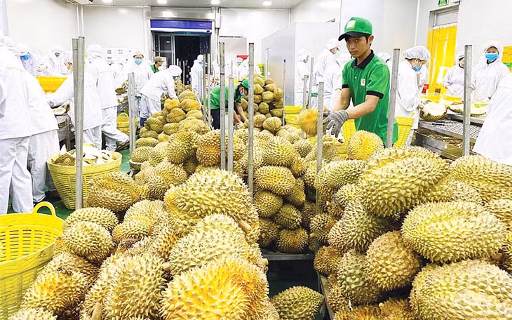 Nửa đầu năm 2024, xuất khẩu rau quả ước thu về 3 tỷ USD