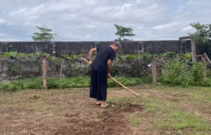 Bà Hòa làm việc thoải mái không lo bệnh tim nhờ có Ích Tâm Khang