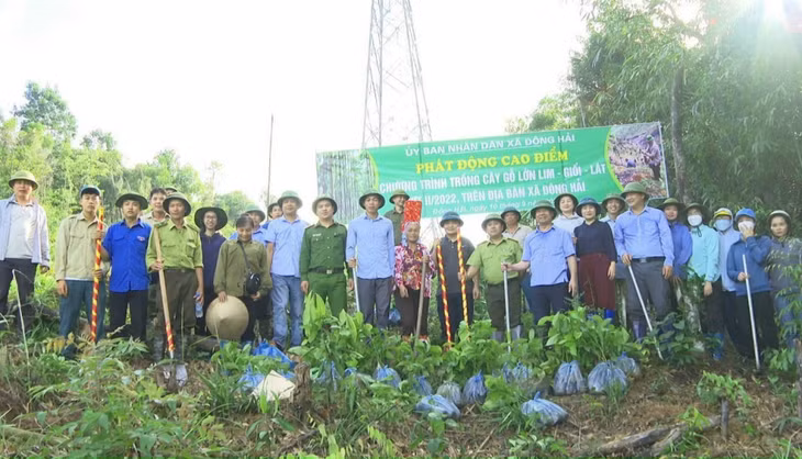 Cán bộ, nhân dân xã Đông Hải, huyện Tiên Yên tham gia trồng cây gỗ lớn.