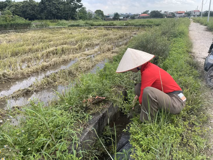 Đoạn mương xây qua nhiều năm sử dụng đến nay cũng đã xuống cấp.