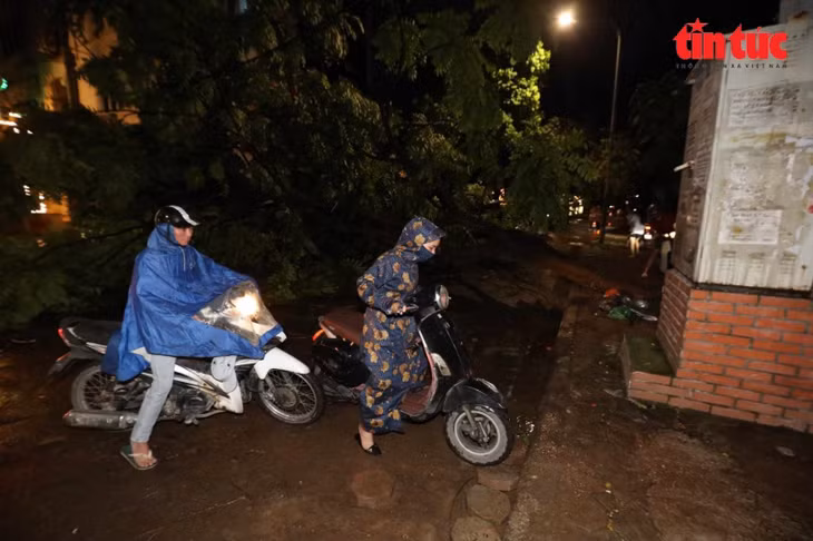 Cây đổ chắn ngang đường trên phố Kim Giang, quận Thanh Xuân, khiến người dân phải đi lên vỉa hè.