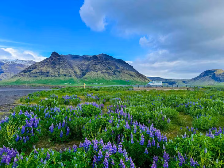 Bên cạnh ngắm hoa lupin, khi du lịch Iceland vào mùa Hè, du khách cũng nên dành thời gian khám phá núi Vestrahorn, thác Seljalandsfoss, hẻm núi Stuðlagil, suối nước nóng Blue Lagoon… Ảnh: Kevin Phan