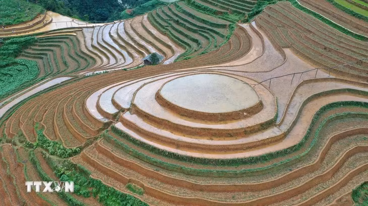 Kinh nghiệm làm ruộng bậc thang của người Mông rất phong phú, yếu tố đầu tiên mà họ quan tâm là chọn mảnh đồi có nguồn nước mạch, hoặc gần nguồn nước mạch có thể đào rãnh dẫn nước tới ruộng. (Ảnh: Tuấn Anh/TTXVN)