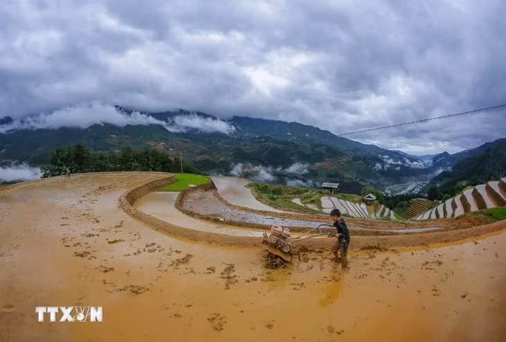Công việc thuần nông tuy vất vả sớm hôm, nhưng cái mong nhất của nông dân là chờ nước đổ về để tranh thủ cầy cấy cho đúng vụ. (Ảnh: Tuấn Anh/TTXVN)