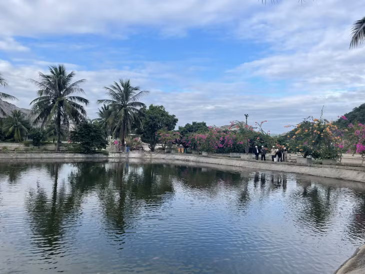 Không gian xanh tại Công ty CP Xi măng và Xây dựng Quảng Ninh.