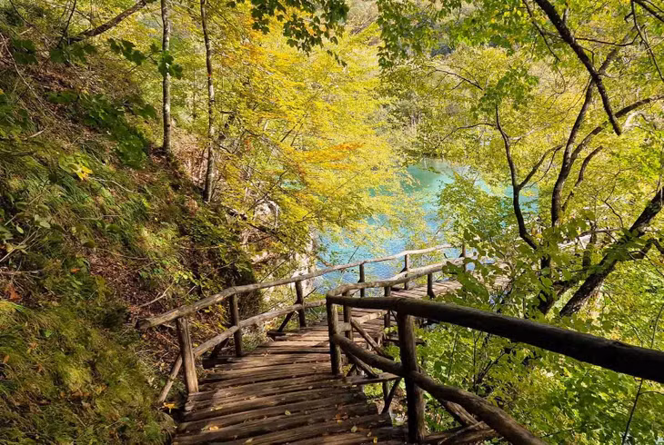 Bên cạnh đó, hồ Plitvice còn được bao phủ bởi những hàng cây rậm rạp, xanh tươi, khiến khung cảnh càng thêm nên thơ và yên tĩnh. Ảnh: Nguyễn Tất Thịnh