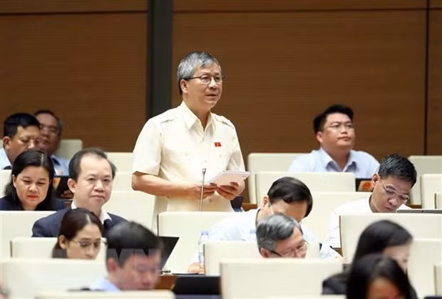 Dai bieu Quoc hoi: Kip thoi xu ly cac vi pham o linh vuc chung khoan hinh anh 3