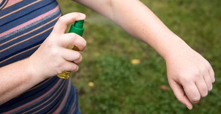 Một số loại thảo mộc có tác dụng đuổi muỗi tự nhiên. Ảnh: Rei.