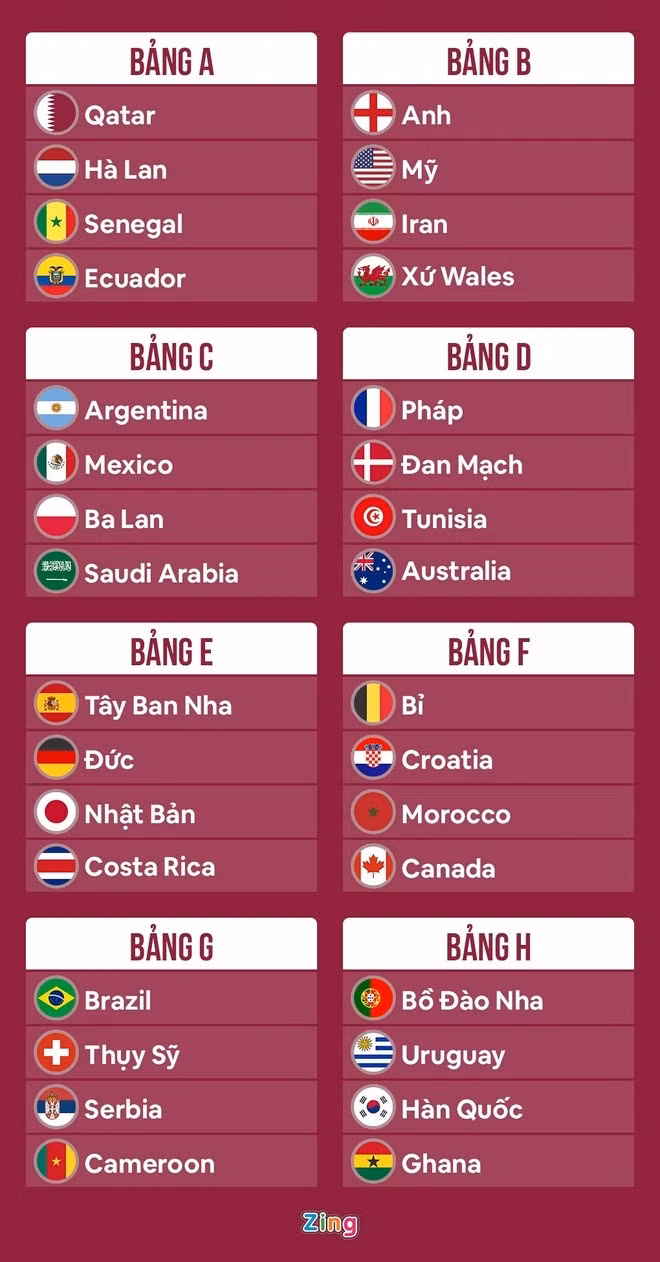 Pogba khong du World Cup anh 2