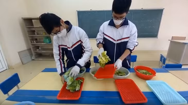 Nhóm nghiên cứu thực nghiệm, so sánh cách rửa ngâm rau bình thường và rửa ngâm rau bằng bột hạt đu đủ.