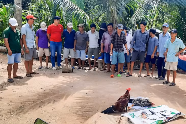 Các đối tượng bị bắt quả tang.