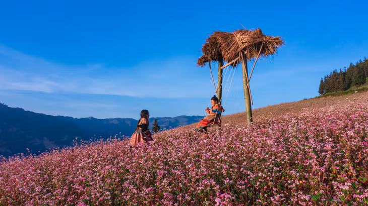 Du khách lưu ý, Suôi Thầu là thảo nguyên hoang sơ nên chưa có nhiều dịch vụ, tiện ích. Hiện tại ở khu vực này không có nhà nghỉ nên khách du lịch chỉ có thể nghỉ tại thị trấn Cốc Pài (Xín Mần - Hà Giang), huyện Bắc Hà (Lào Cai) hoặc cũng có thể nghỉ tại Bản Phùng (Hoàng Su Phì - Hà Giang) (Ảnh: Hoàng Dưỡng)