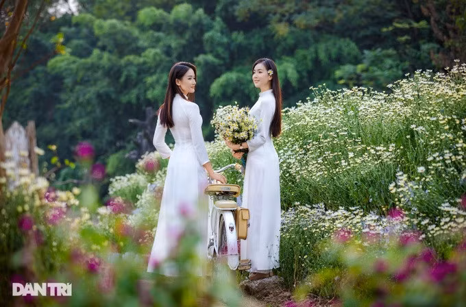 Thiếu nữ Hà Thành thướt tha trong bộ áo dài trắng với cúc họa mi.
