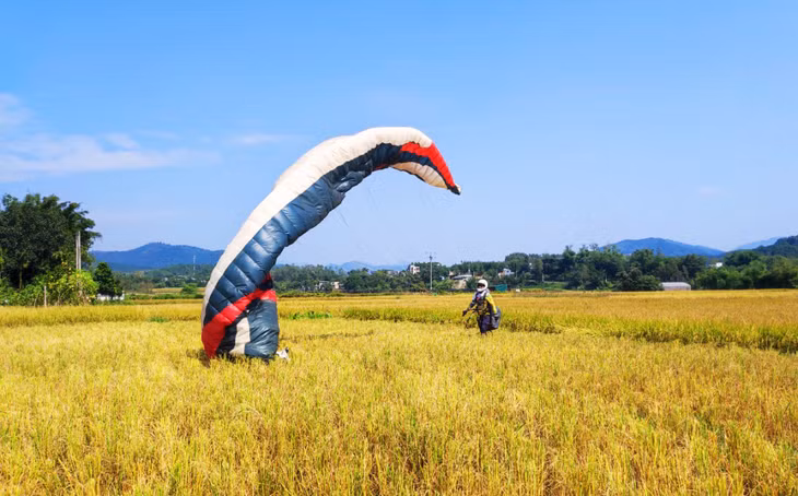 Điểm hạ cánh dù lượn tại khu vực ruộng lúa chín vàng Bản Chuồng (xã Lục Hồn) cũng tạo nên một khoảnh khắc đẹp đắm say lòng người.