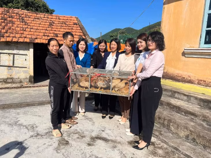 Cụm thi đua Hội LHPN các thành phố, thị xã trao tặng gà giống cho hội viên phụ nữ có hoàn cảnh khó khăn tại xã Sơn Dương (TP Hạ Long).