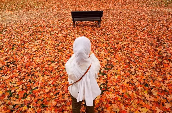 Một người phụ nữ chụp lại sắc màu sống động của thảm lá rụng ở Washington, Mỹ, ngày 26/10. (Ảnh: REUTERS)