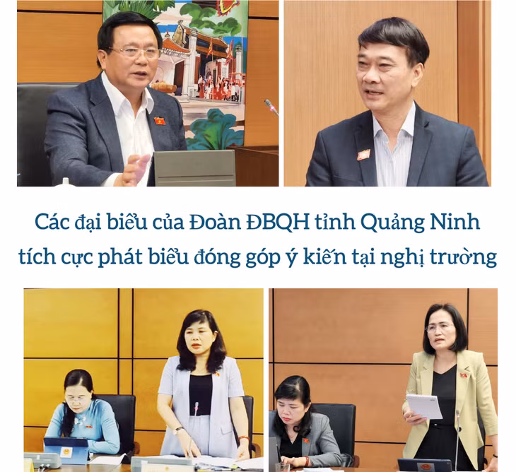 Đoàn ĐBQH tỉnh Quảng Ninh: Chuyển tải đầy đủ tâm tư, nguyện vọng của cử tri tới diễn đàn Quốc hội -0