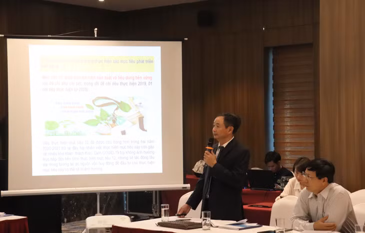 Đại diện nhóm chuyên gia chia sẻ tại hội thảo về vai trò và cơ chế phối hợp của các bên trong thực hiện các mục tiêu phát triển bền vững của tỉnh Quảng Ninh, giai đoạn 2019-2021.