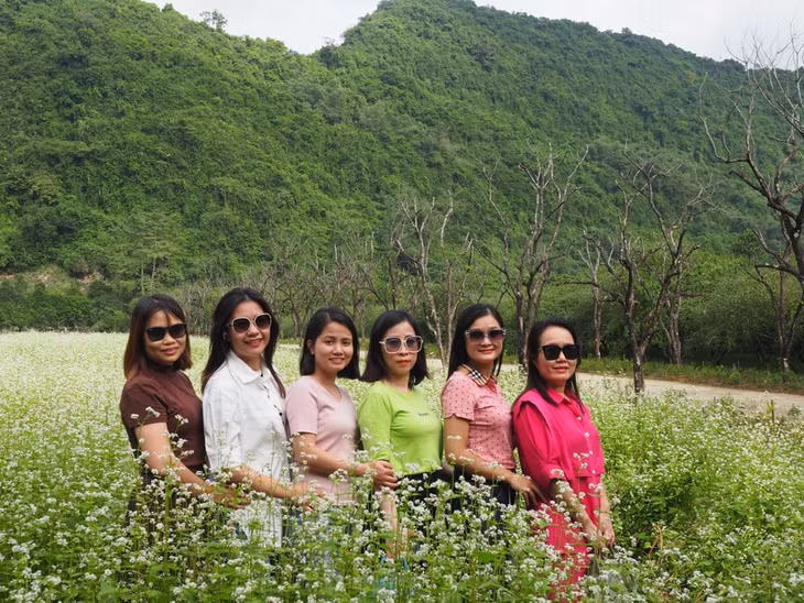 Đông đảo du khách tìm đến Vườn chim Thung Nham những ngày cuối tháng 11 để check-in vườn hoa Tam Giác Mạch.
